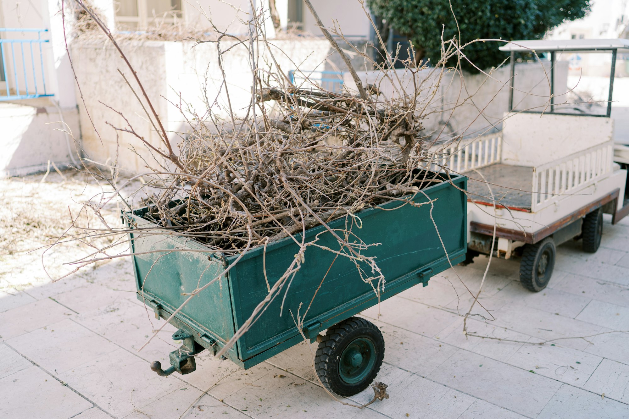 Trimmed dry tree branches lie in the gardener trailer near the house